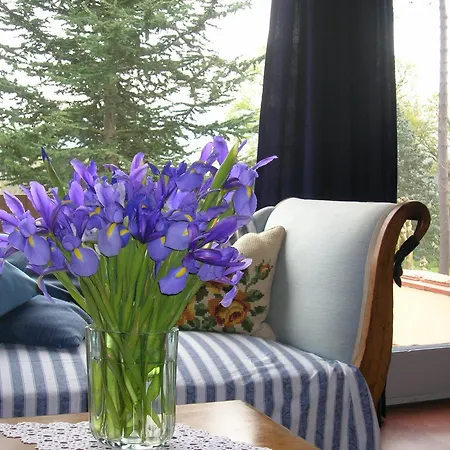 Ferienhaus Pettirosso San Macario In Piano