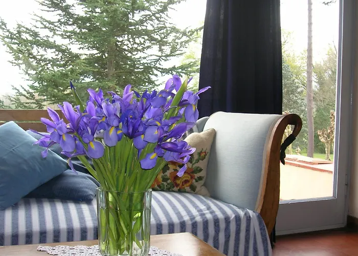 Ferienhaus Pettirosso San Macario In Piano