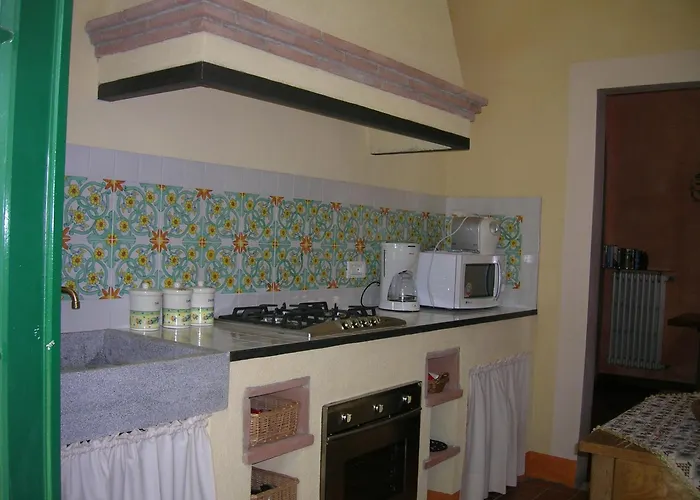 Pettirosso * San Macario In Piano